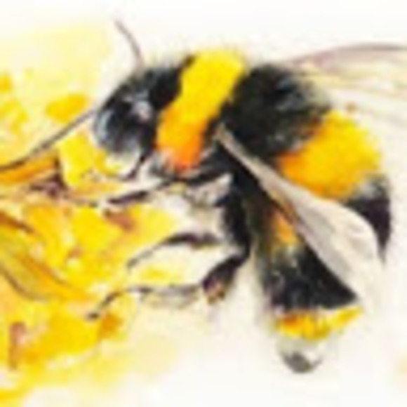 Meet your Posher, Breanna - Picture 1 of 1